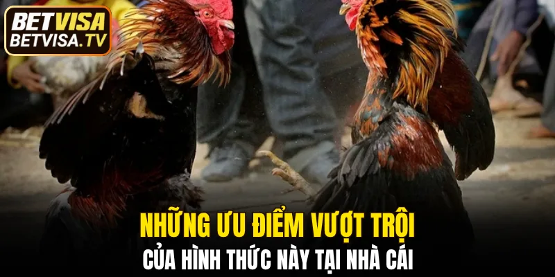 4 điểm nổi bật giúp đá đòn trở nên khác biệt