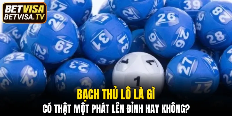 Bạch thủ lô là gì