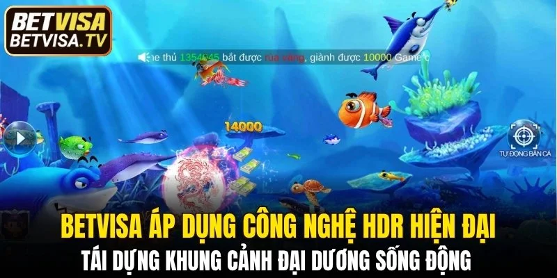 BETVISA áp dụng công nghệ HDR hiện đại