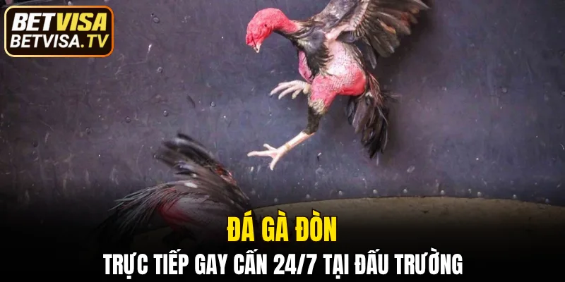 đá gà đòn