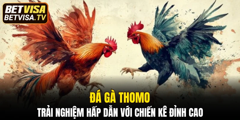 đá gà Thomo