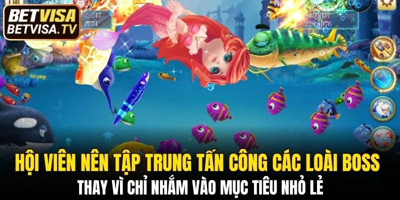 Hội viên nên tập trung tấn công các loài boss 
